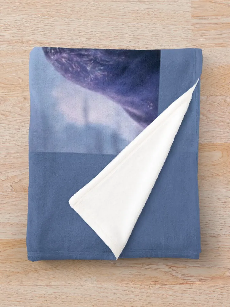 �� ���ν�Ʈ ���, ���� ������ ���� ��� �Ϳ��� ���� ����