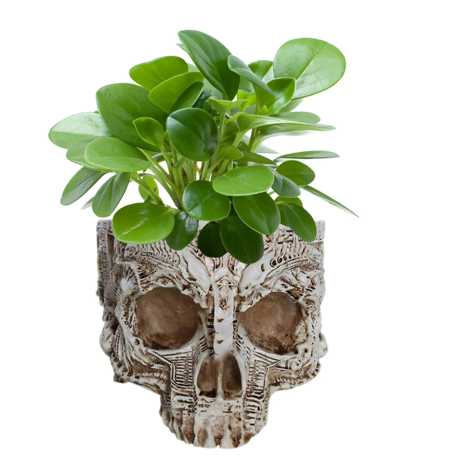 アクセサリ 人工頭蓋骨頭樹脂植木鉢プランターコンテナー家の庭の装飾