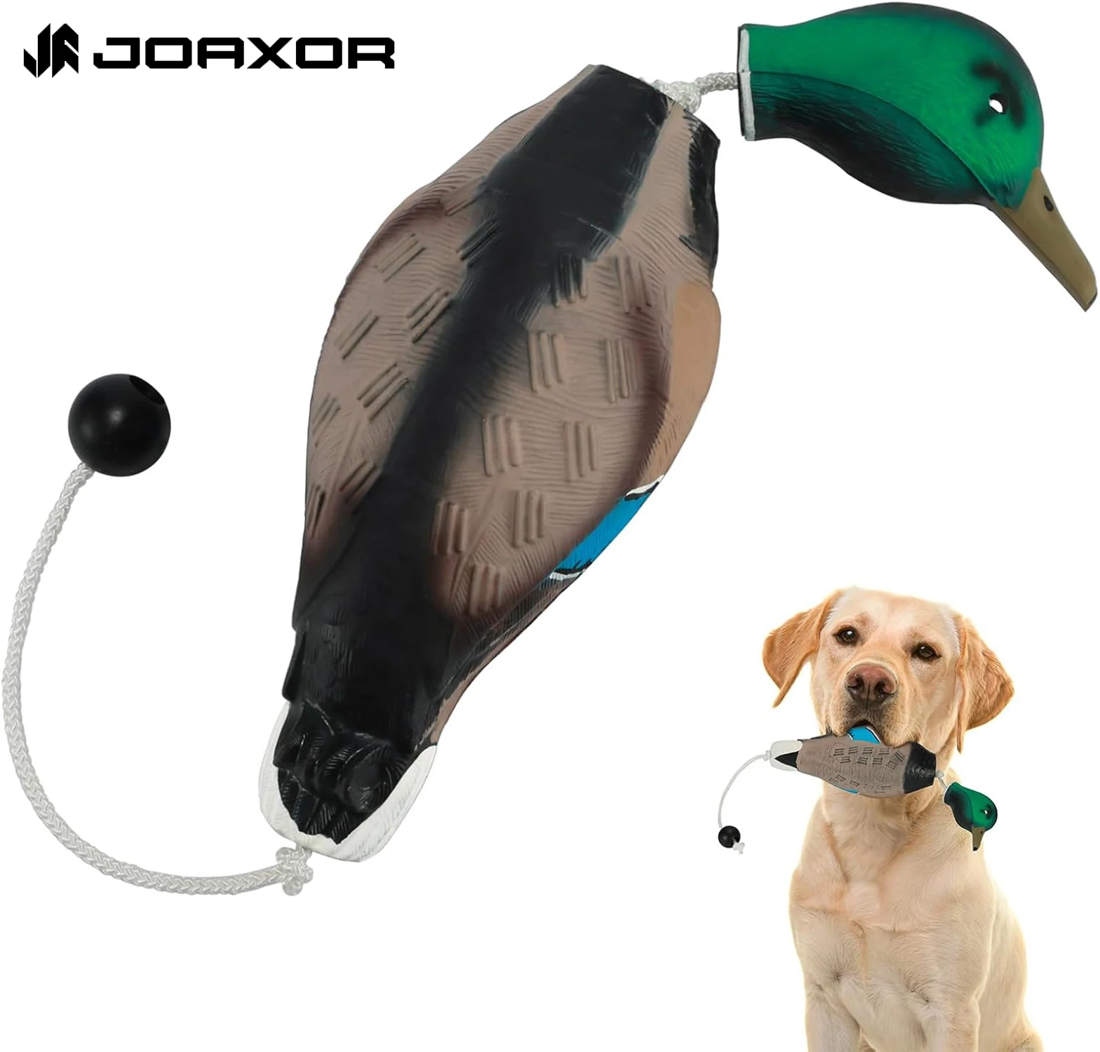 Leurre canard mort JOAXOR pour entraînement chiens rapporteurs chasse gibier d'eau flottant durable