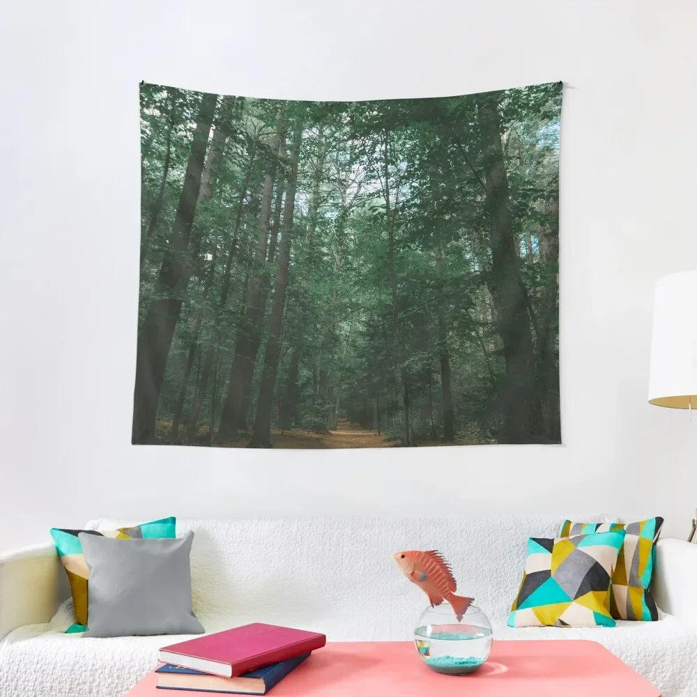 

Through the trees Tapestry Home Decorations Aesthetic Wall Mural Hanging Wall Tapestry