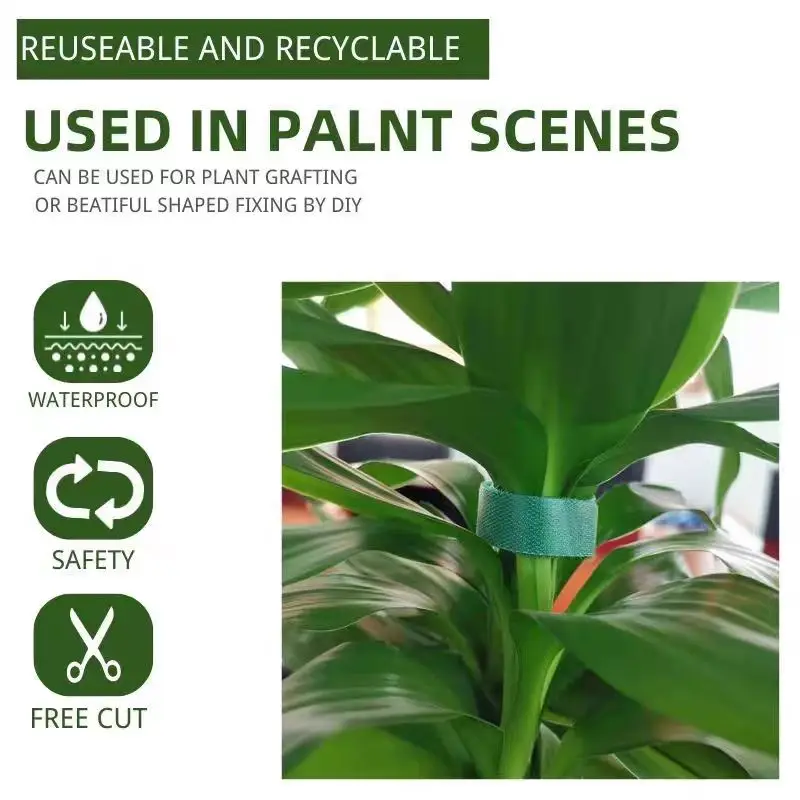 Self Adhesive Nylon Plant Tie Reusable Plant Hook Loop Ties Fastener Tape Bamboo Cane Wrap Support Home Garden Accessories plant ties