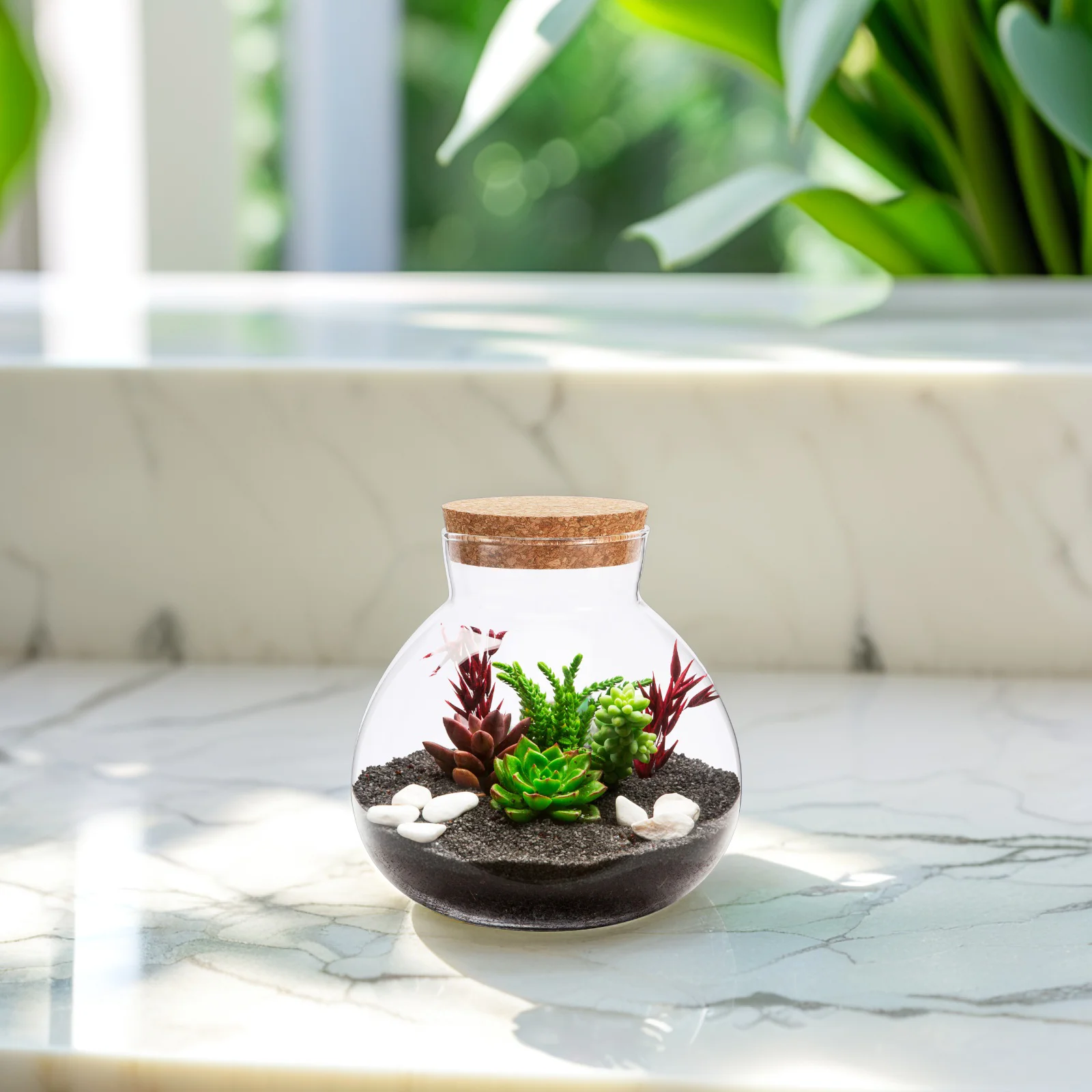Eco Bottle Terrarium DIY Empty Plants Moss Landscape Container Glass Ecological with Cover Home Decor 6