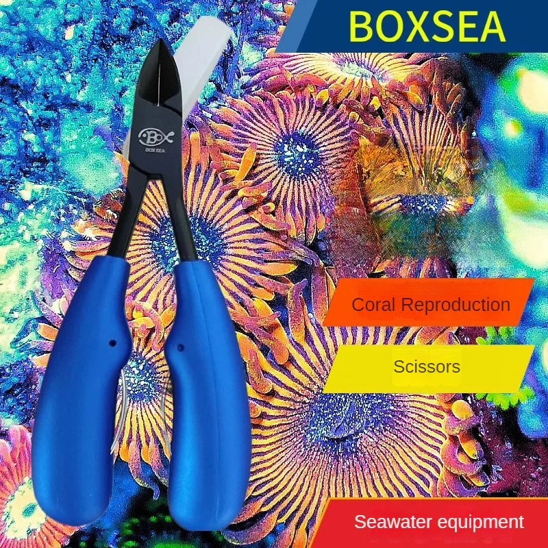 

Аквариумные прямые плоскогубцы BOXSEA для коралловых растений, ножницы из нержавеющей стали для аквариума, инструменты для очистки аквариума, резак, машинка для стрижки acuario