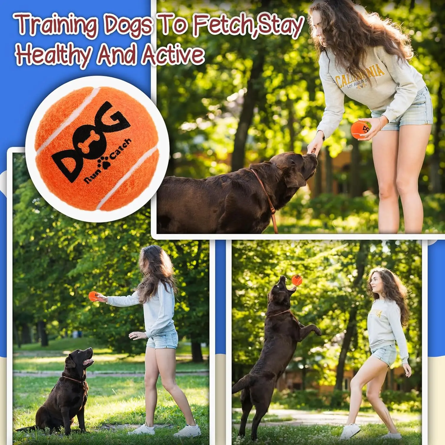 INSUM Tennis Balls for Dogs-Pet Safe Non-Toxic Industrial Strength Felt & Rubber for Exercise and Training 4 Pack 2.5" Orange