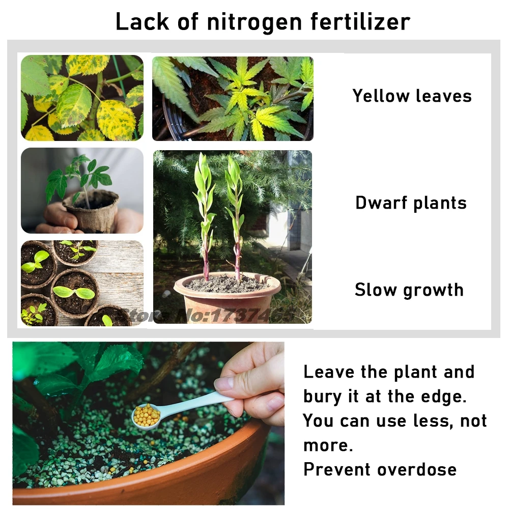 30g Polypeptide Urea Fertilizer Carbamide Advanced Complex Elements A lot Nitrogen Plant Food Garden