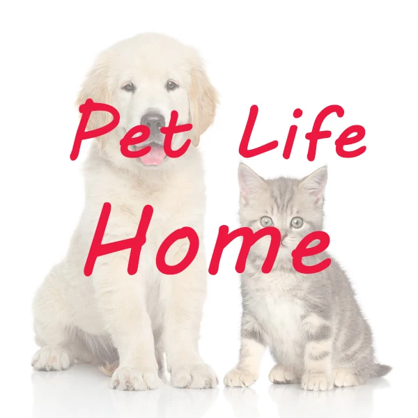 Life Pet Home Store
