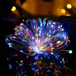 USB - Powered LED Copper Fairy Lights for Holiday and Event Decoration (Multicolor)