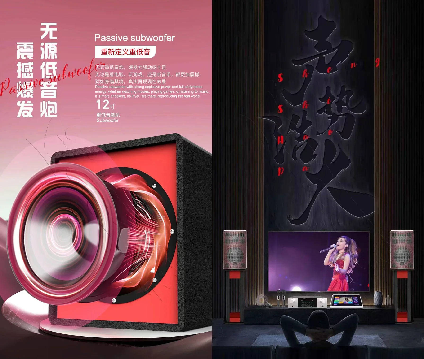 Professional speaker amplifier subwoofer home set