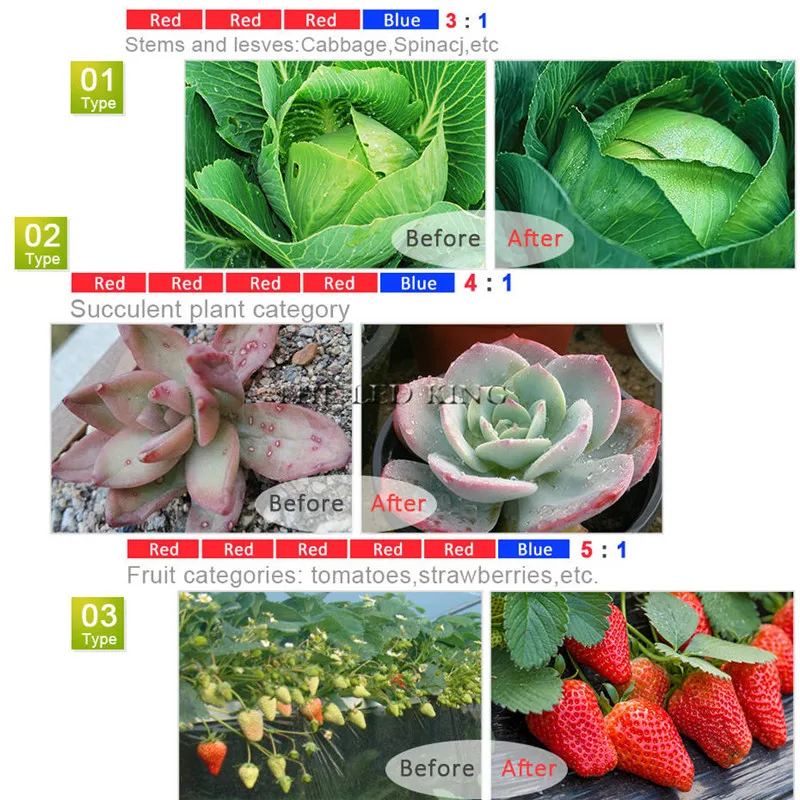 5m Phyto LED Grow Light 12V Full Spectrum LED Growing Diode Tape Lamp 5050 Strip Plant Phytolampy IP65 Flexible Aquarium grow light