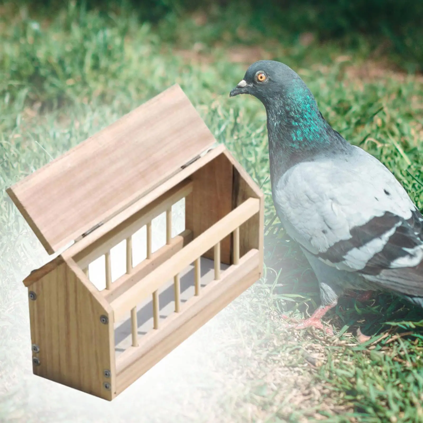 40cm Wooden Pigeon Feeder Trough Food Dispenser House Design Pigeon Supplie Poultry Trough Dish Bird Feeder for