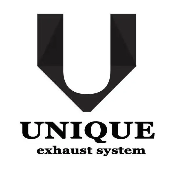 Unique Downpipe Exhaust System Store