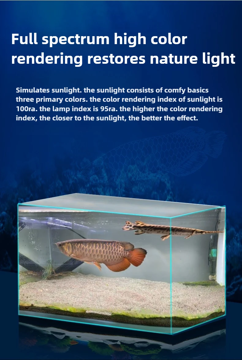 Led Lighting for Ornamental Aquarium Aesthetics: Stunning Glow Tips