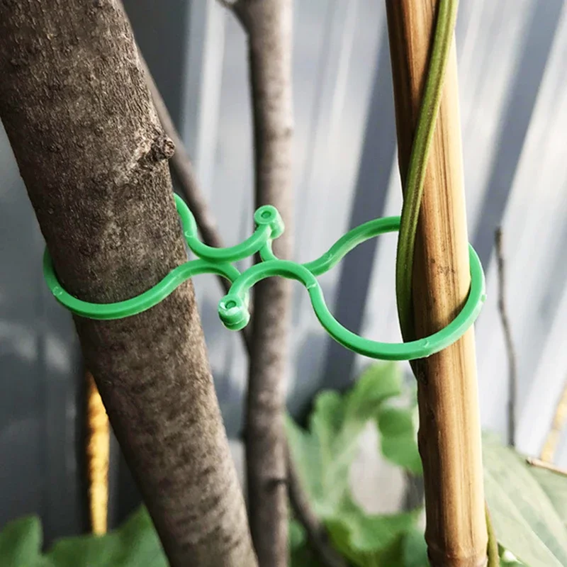 Plastic Garden Vine Strapping Clips Tie Plant Bundled Buckle Ring Holder Garden Tomato Plants Stand Support Tool 20/50/100Pcs plant ties plastic plant cable ties plastic plant supports plant clips plastic plant clips