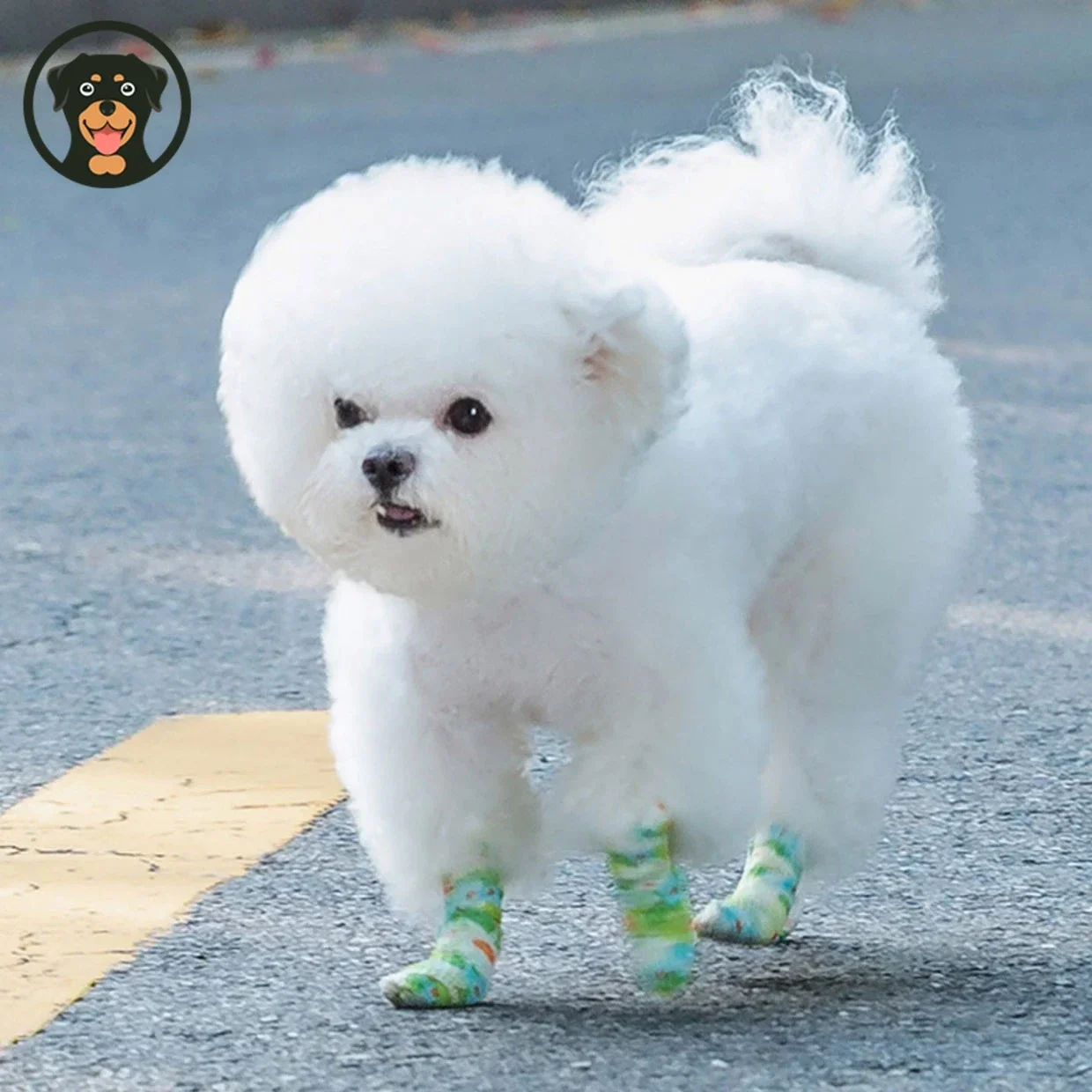 Pet Shoes Breathable Elastic Bandages Disposable Foot Covers Dirt-proof Retractable Sports Tape Outdoor Dog Accessories