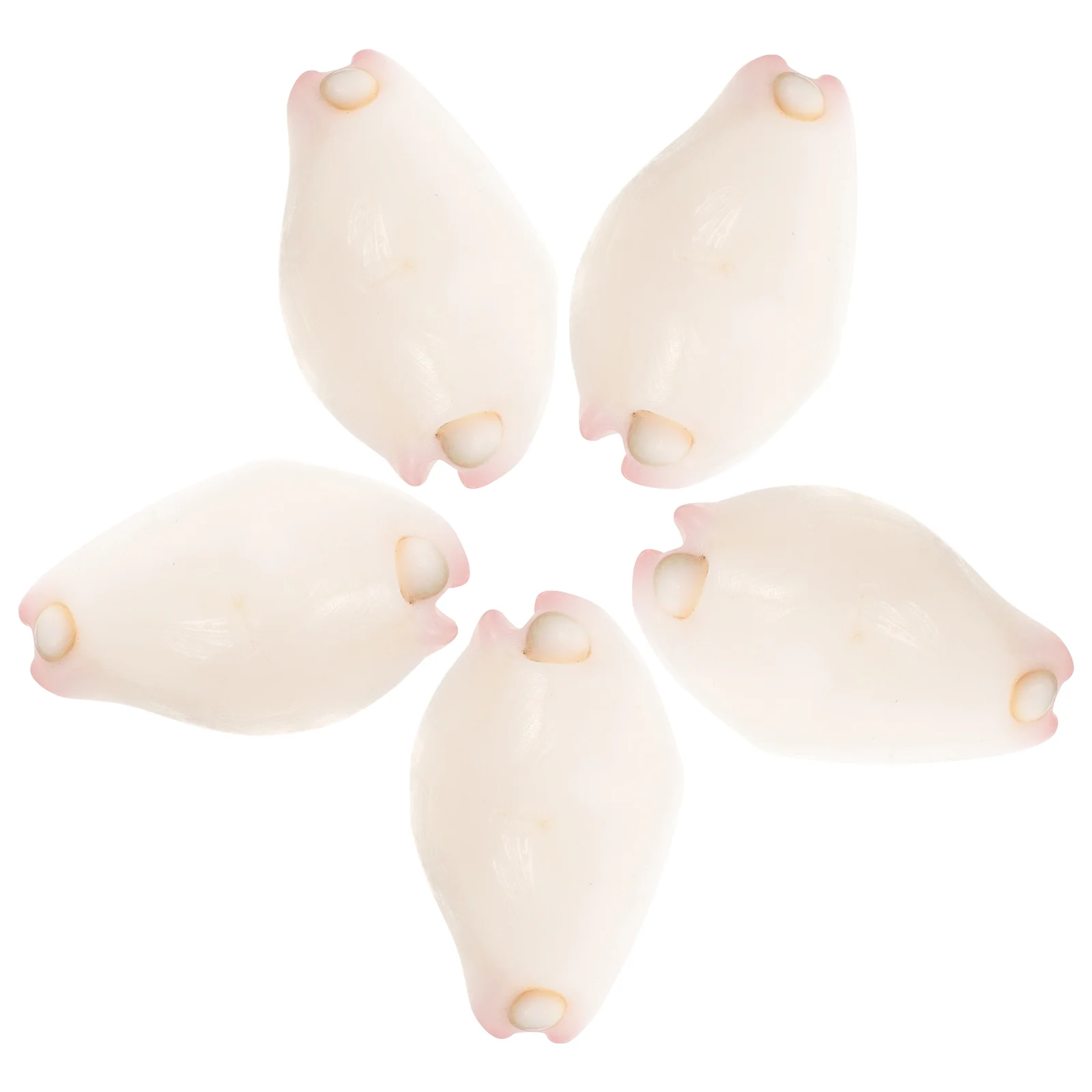 

5pcs Jewelry Shell DIY Crafts Shell Beads Natural Decorations Handmade Craft Shells