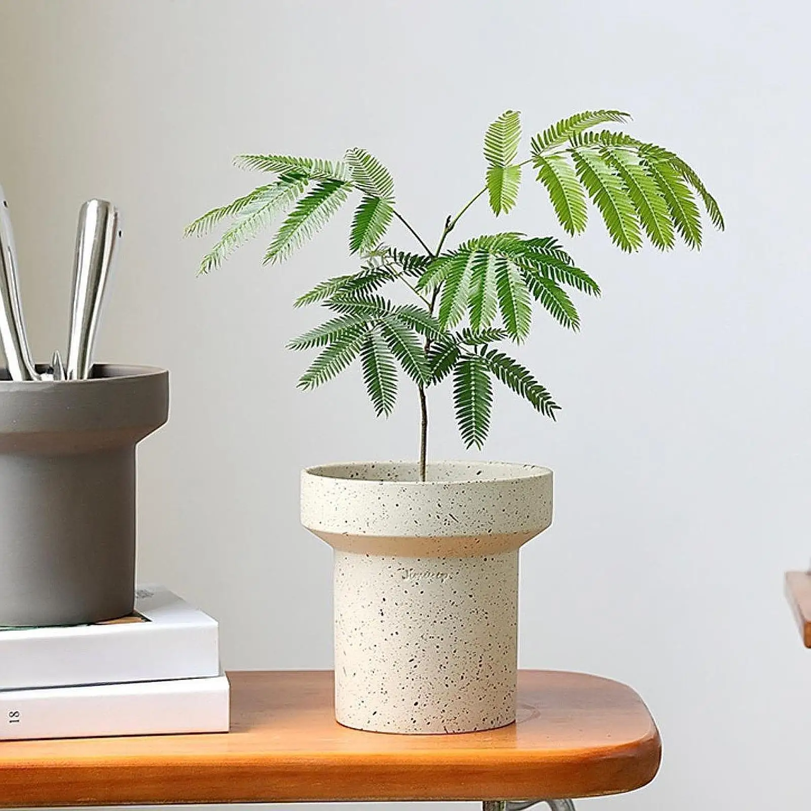 Flowerpot ,Delicate Planter, Plant Container ,Modern Flower Pot ,Decorative Vase for Dinner Indoor Plants Dried Flower