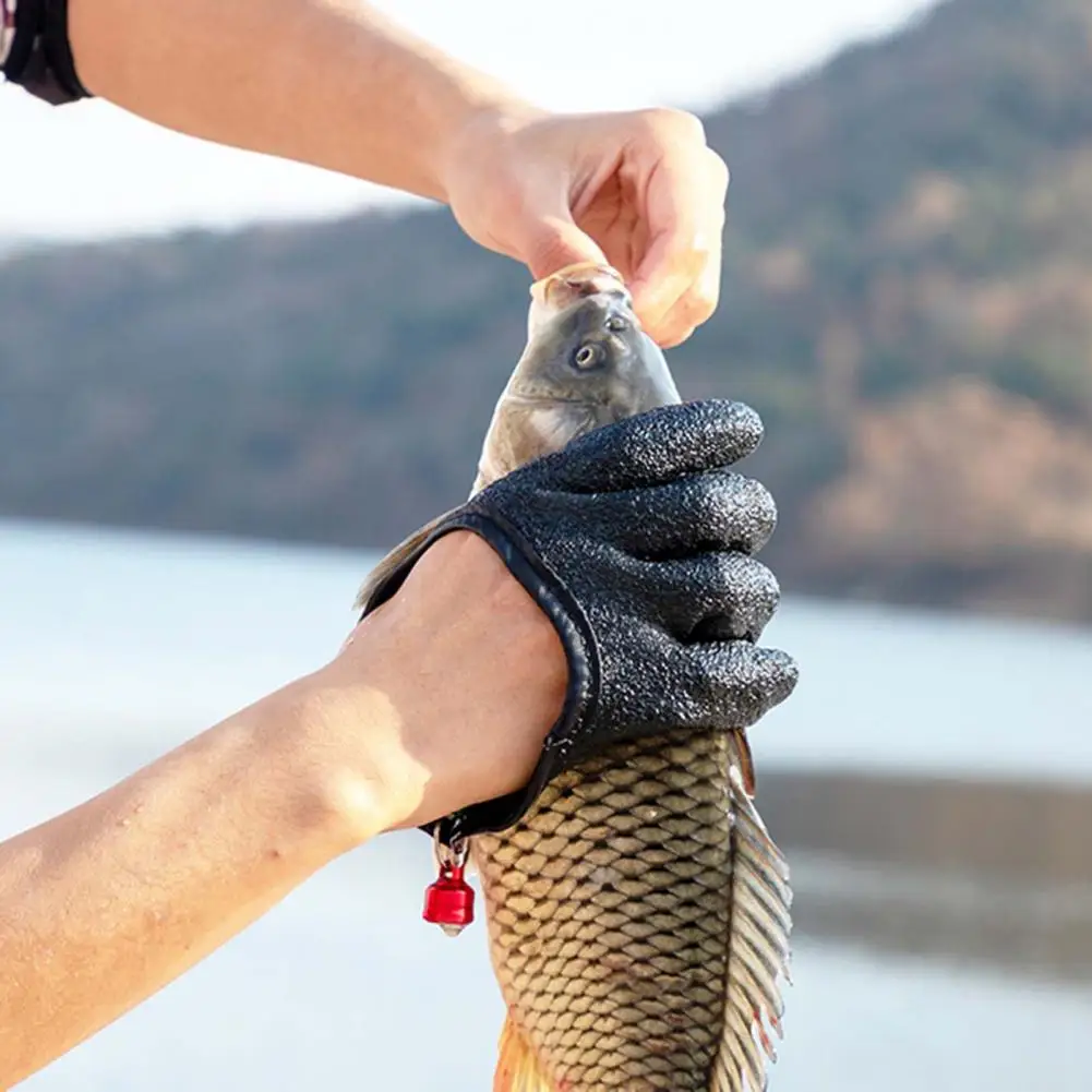 https://ae01.alicdn.com/kf/Se21492e95cb948c28f678311d38727f2r/1Pc-Fishing-Gloves-Emulsion-Quick-Dry-Sea-Fishing-Gloves-Hanging-Hole-Anti-slip-Angling-Gloves-Anti.jpg