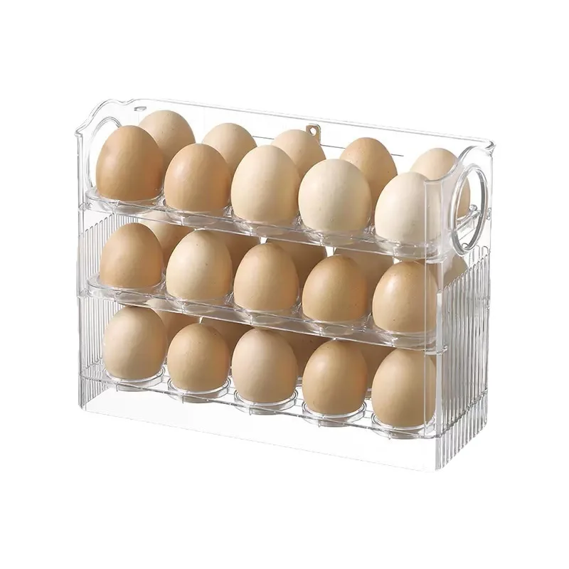 Egg Storage Box 3