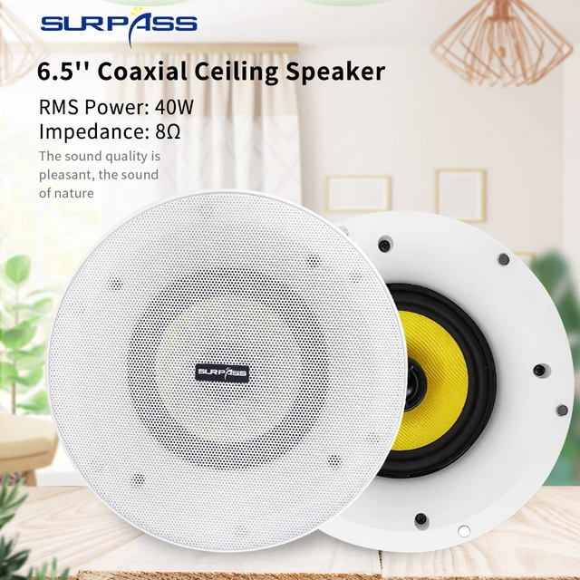 Inch Bluetooth Ceiling Speakers Official Online
