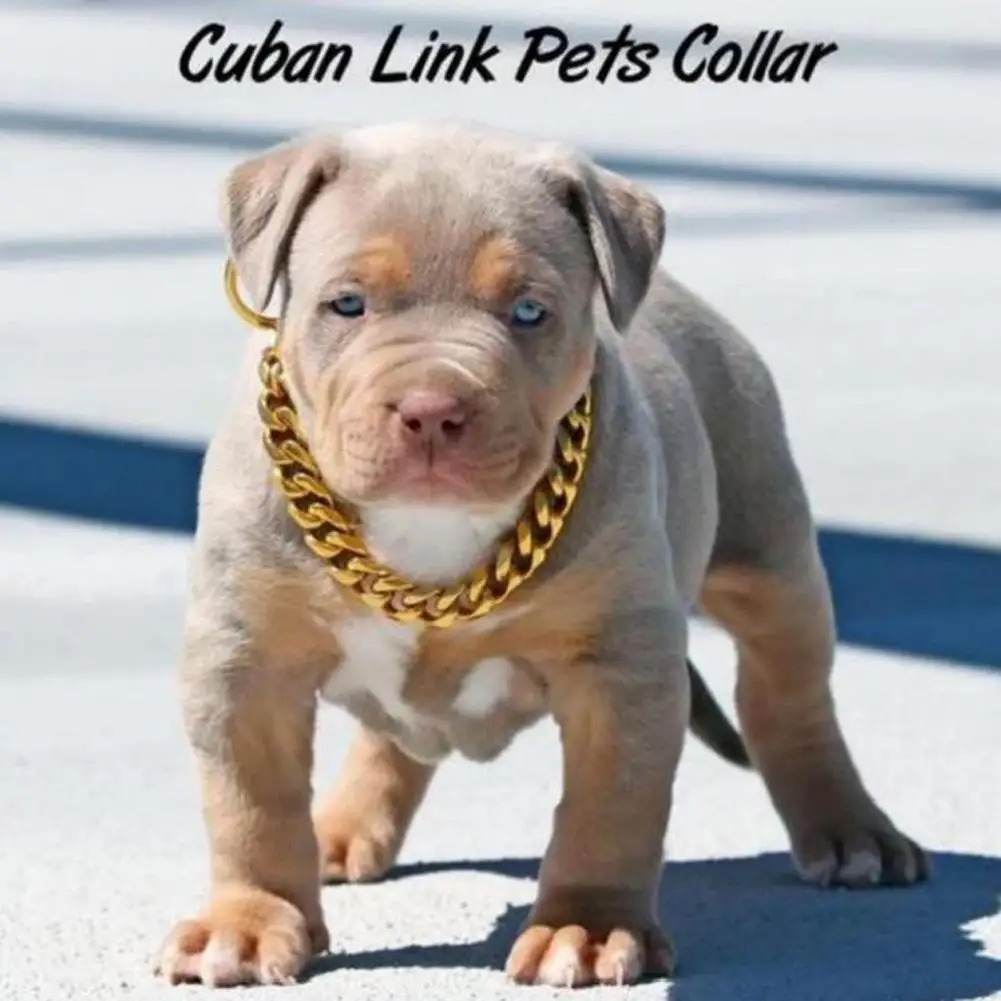 Strong Metal Dog Chain Collars Steel Pet Choke Gold For Large Pitbull