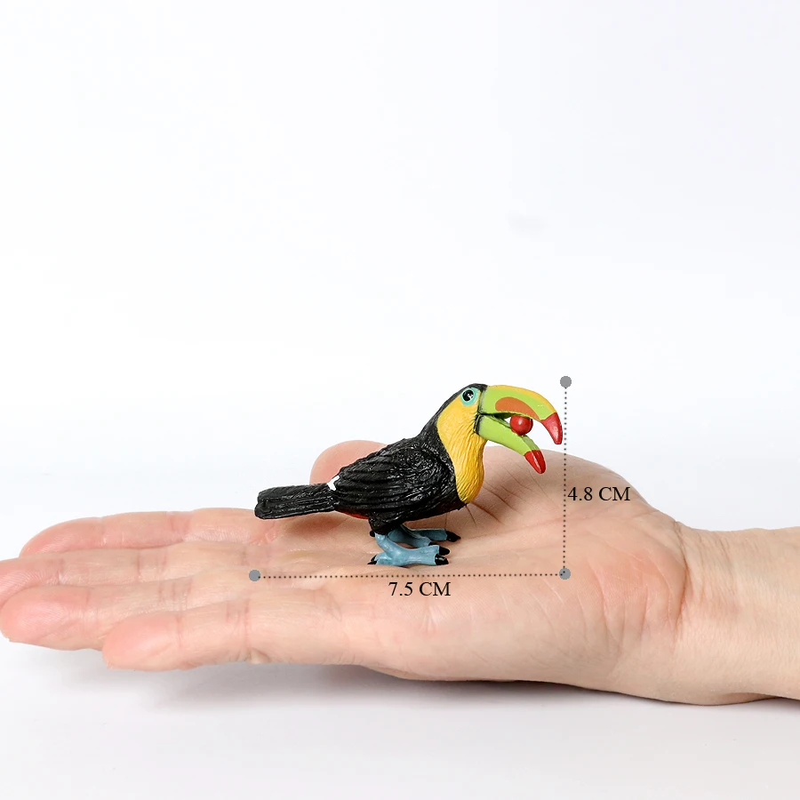 Simulation Vogel Tier Tukan Türkei Flamingo MandarinDuck Kiwi Woodpeckers Modell Figur Garten Dekoration Miniatur Spielzeug – Detail 32