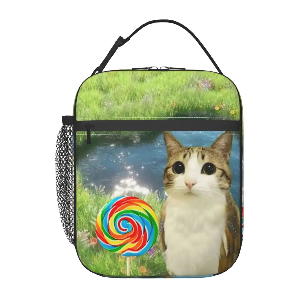 Dreamy Meowl CatOwl 귀여운 절연 점심 가방 식품 용기 가방 여행용 휴대용 열 냉각기 도시락 상자