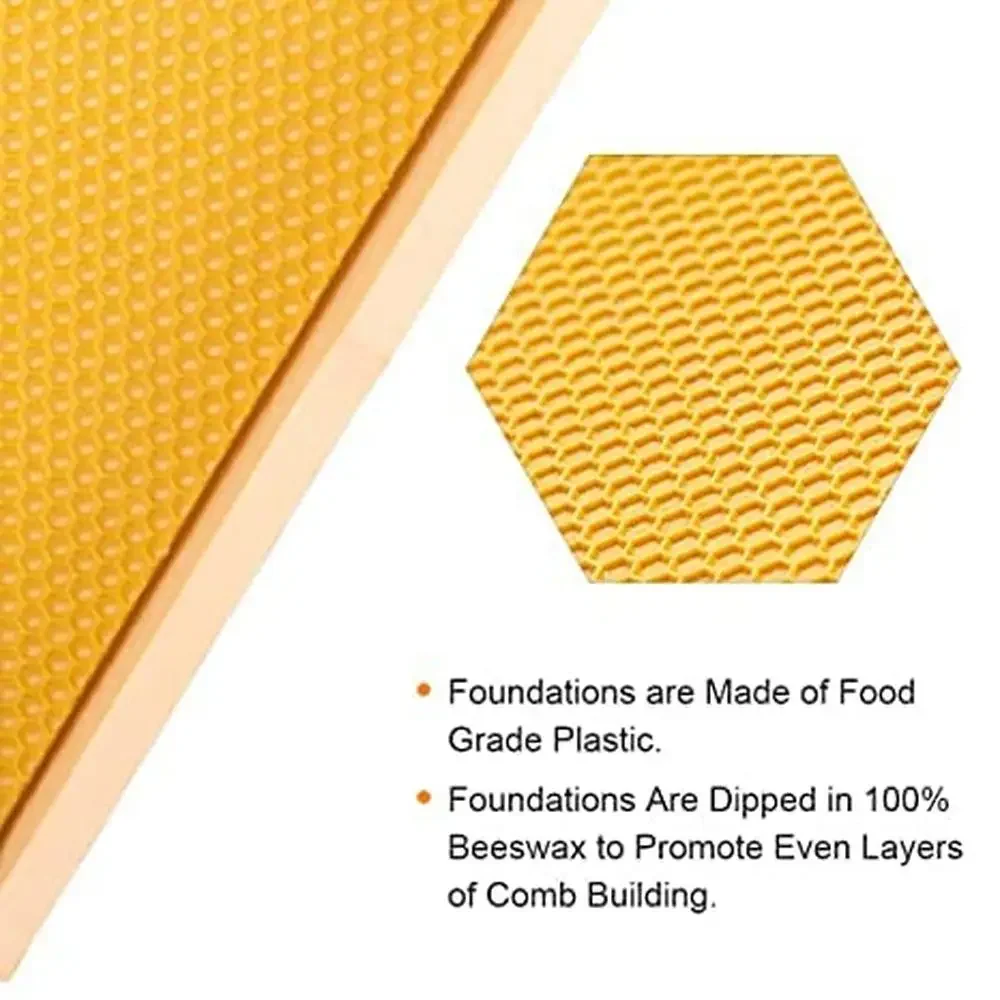 Wooden Frames New Zealand Pine Beehive Box Medium Super Langstroth Hive Includes Wax Coated Dovetail Joints Honey Colored