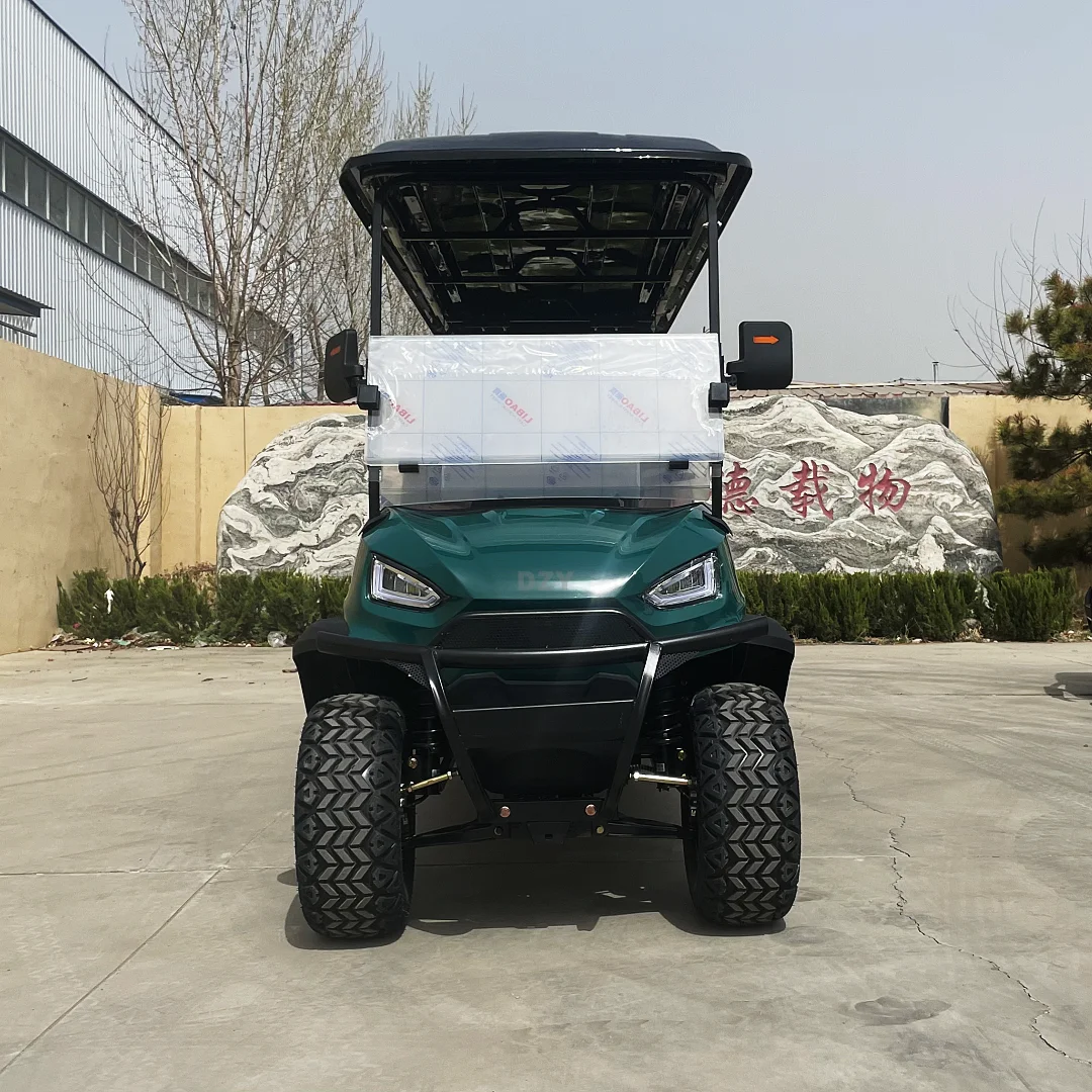 Chinese factory produces new 48V 2-seater electric golf cart off-road vehicle with free customization colors