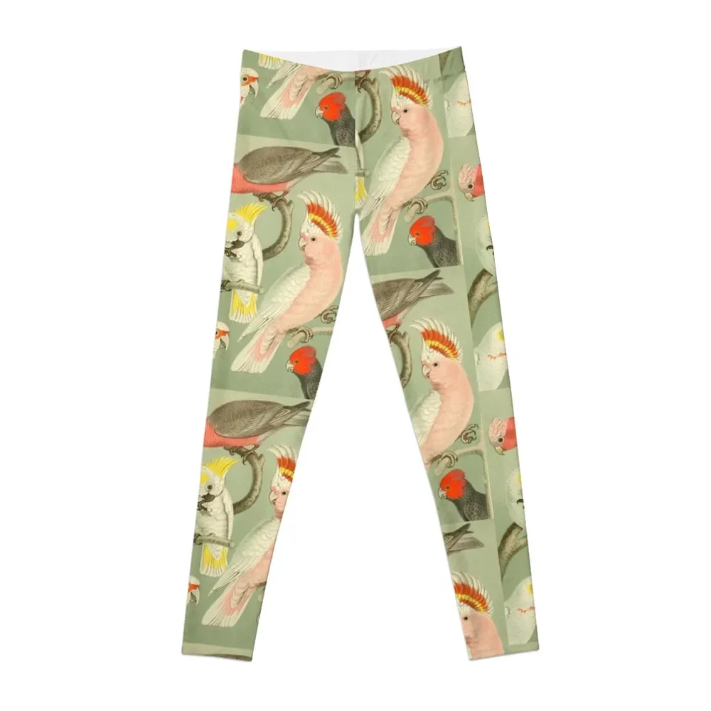 

Cockatoo Leggings sports shirts gym Legging sport sportswear for gym Womens Leggings