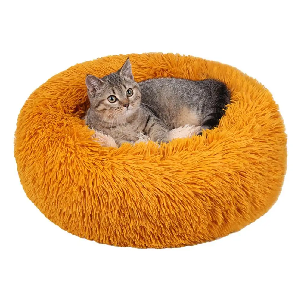 Se221e66e931440bab30d25d2e6276d8cu