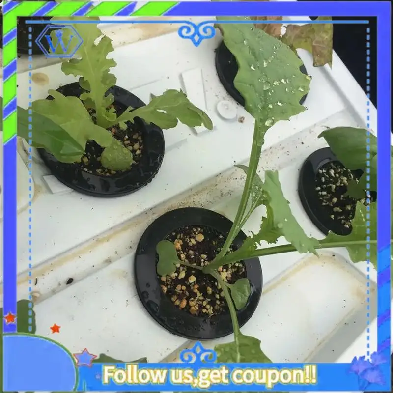 Easy To Use 100Pcs Black Plastic Fixing Basket Gardening Soilless Slotted Mesh Plant Cups, Pots, Buckets, Baskets For Hydroponic
