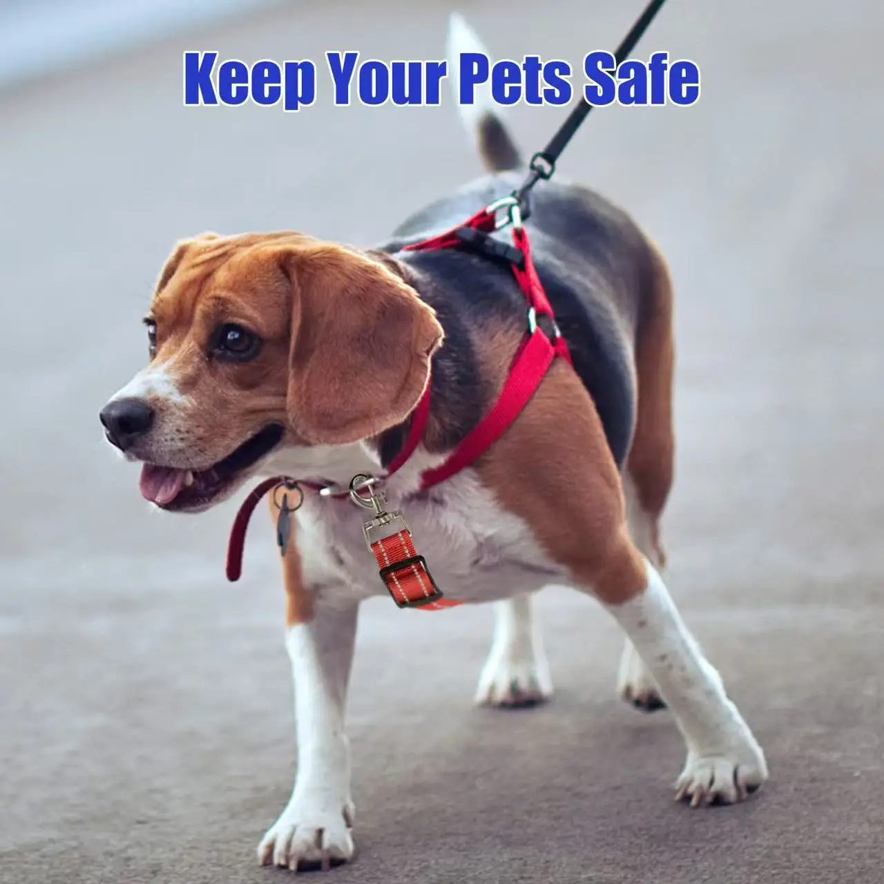 Reflective Dog Safety Collar Clip-Heavy Duty Polyamide Leash Attachment with 360&deg; Swivel Adjustable Length Vertical Pressure pet harness collar