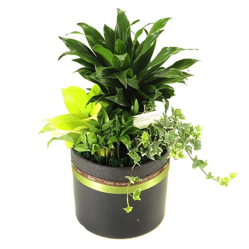 4 ���� �ڵ� �޼� DIY ŰƮ, �ڵ� ���� DIY ŰƮ ��ü �޼� �ý���