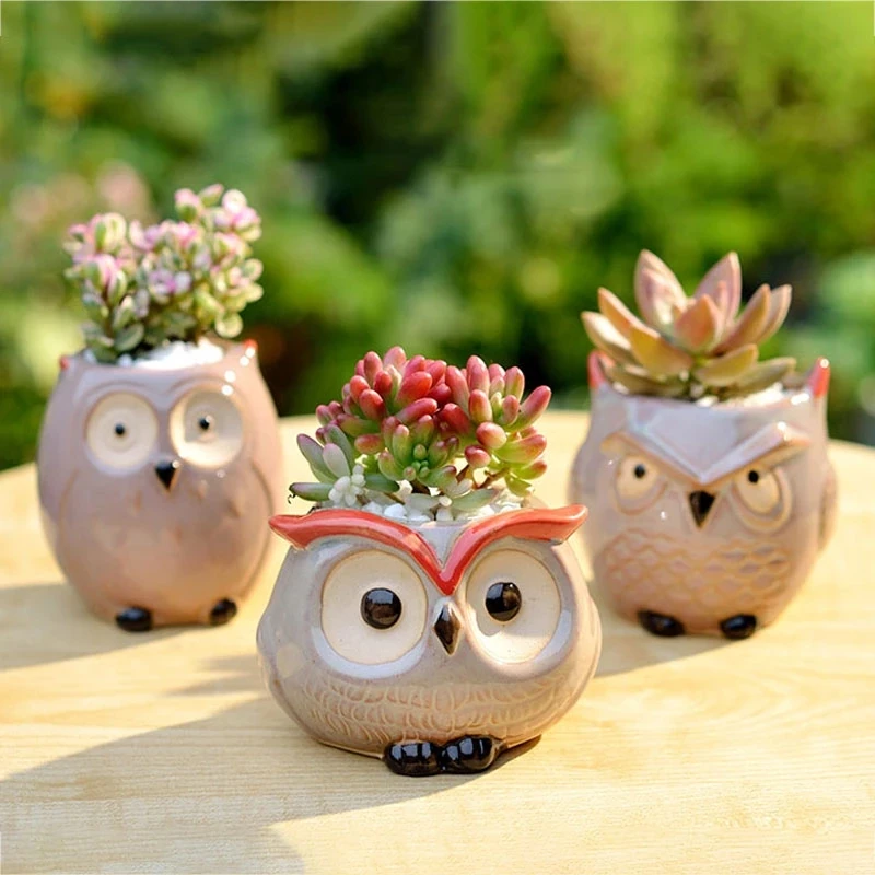 Cute Owl flower pot Garden Office Decoration Succulent Mini Owl Flowerpot Cute Animal Flowerpot Cactus Plants Planters