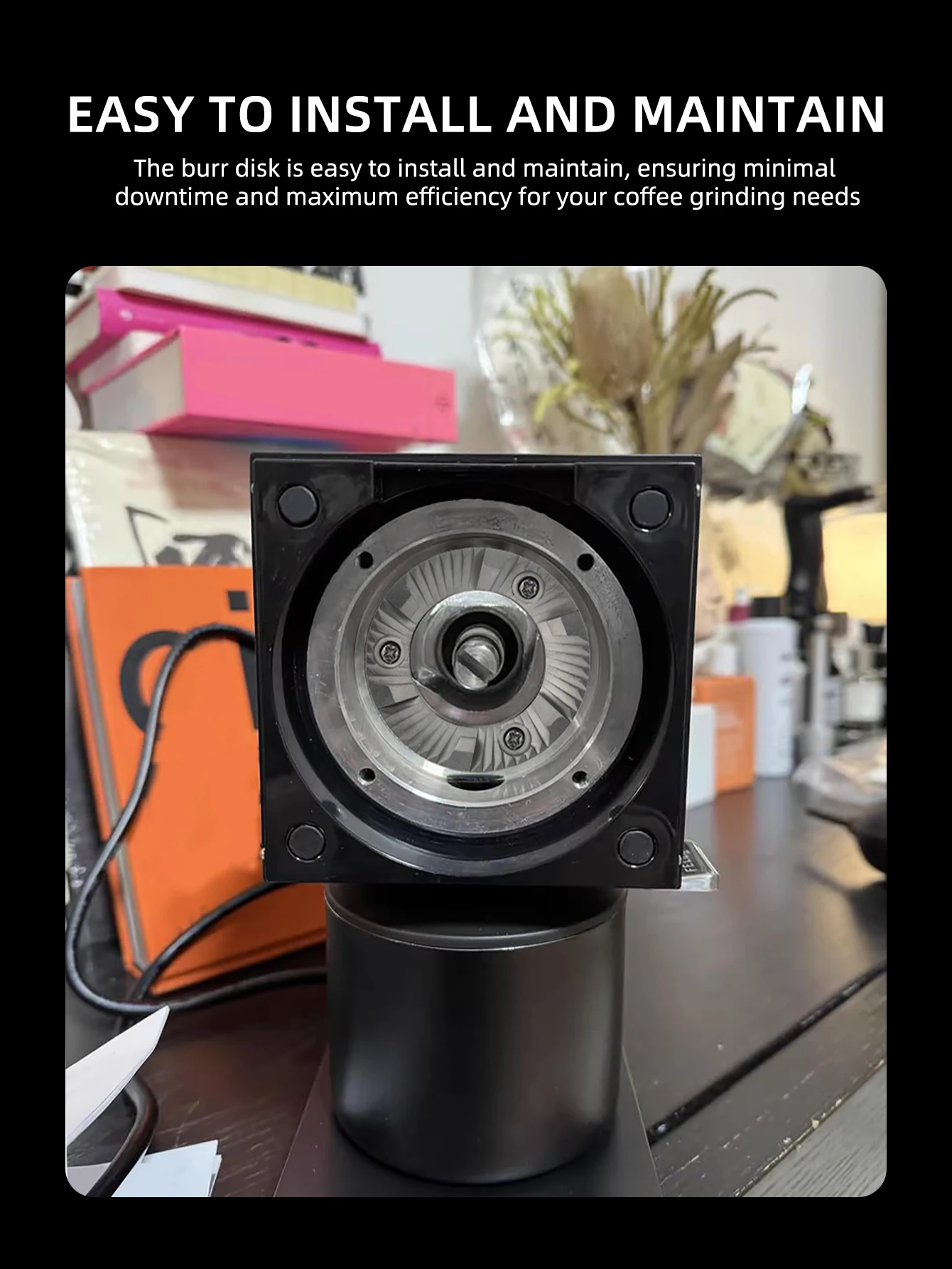 Description Picture 5 of itemPack of 2 Grinder Burrs Grinder Disc Grinder Accessories 40MM Cutter Disc Metal Texture for Bean