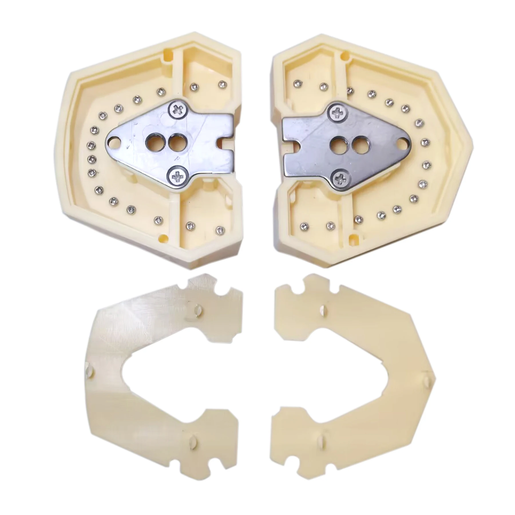 Frasaco AG3 Typodont Fit Dental 32Pcs Screw-in Teeth Model Practice Filling Standard Restoration Demo M8014-2-1 Teach Study 6