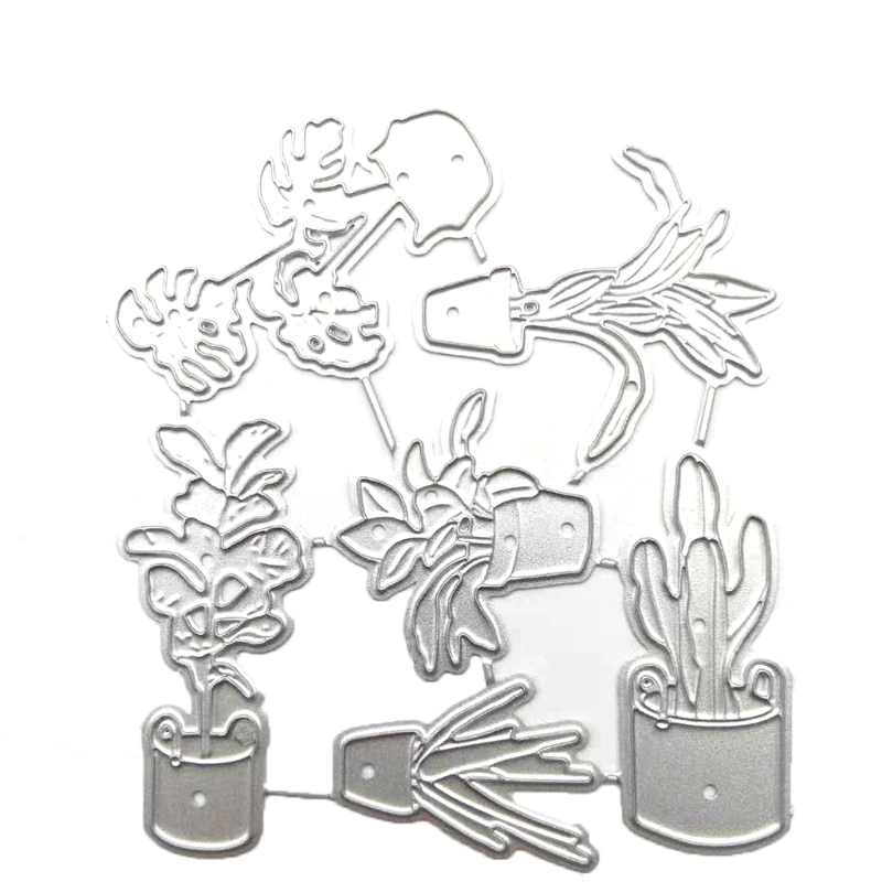 dsc-products