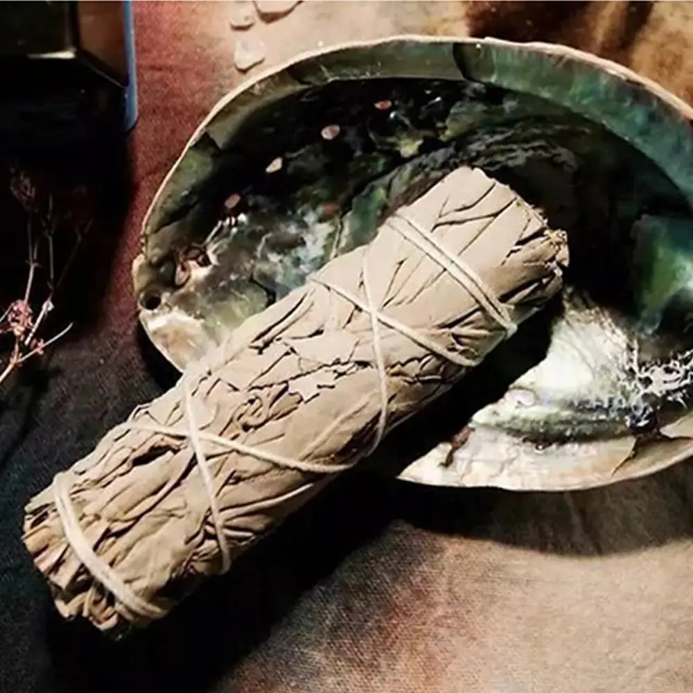 Natural Abalone Shell with Wooden Tripod Stand For Sage Smudging