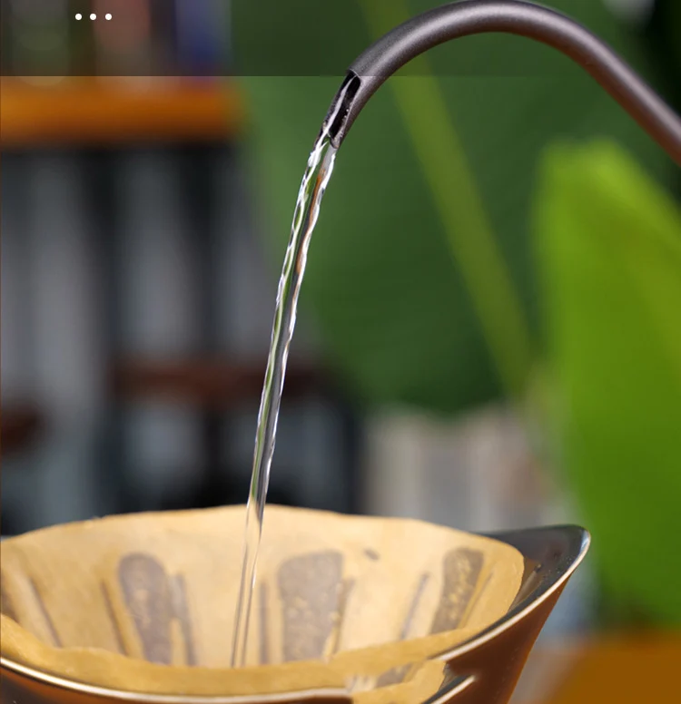 Drip Kettle 600ml Coffee Tea Pot Stainless Steel Non-stick Gooseneck Wooden Handle