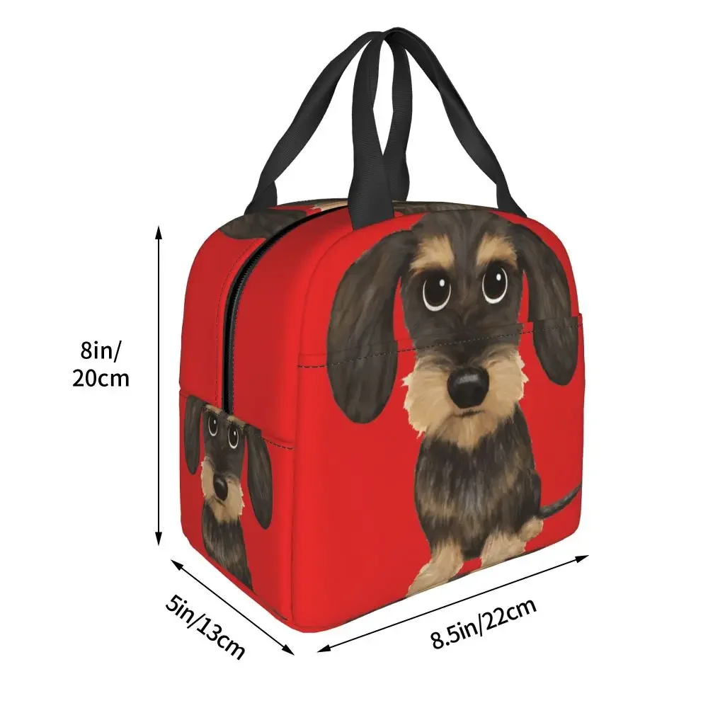 wirehaired-dachshund-lunch-bag-leakproof-thermal-bento-box-tote