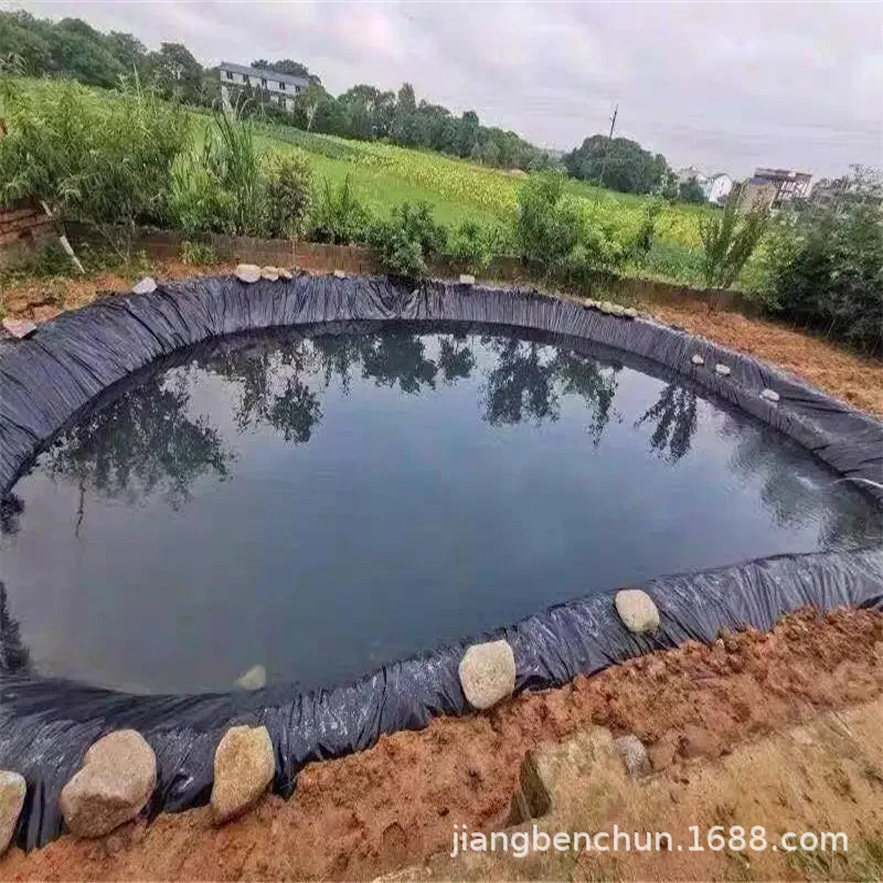 Waterproof Liner Film For Fish Pond Garden Pools Reinforced HDPE Heavy Duty Environment Landscaping 2.5*3m