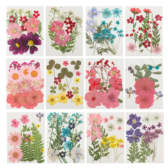 DIY Dried Flowers for Resin Mold Fillings Flower Pressed Dried Flowers  Beauty Decal Nail Art Pressed