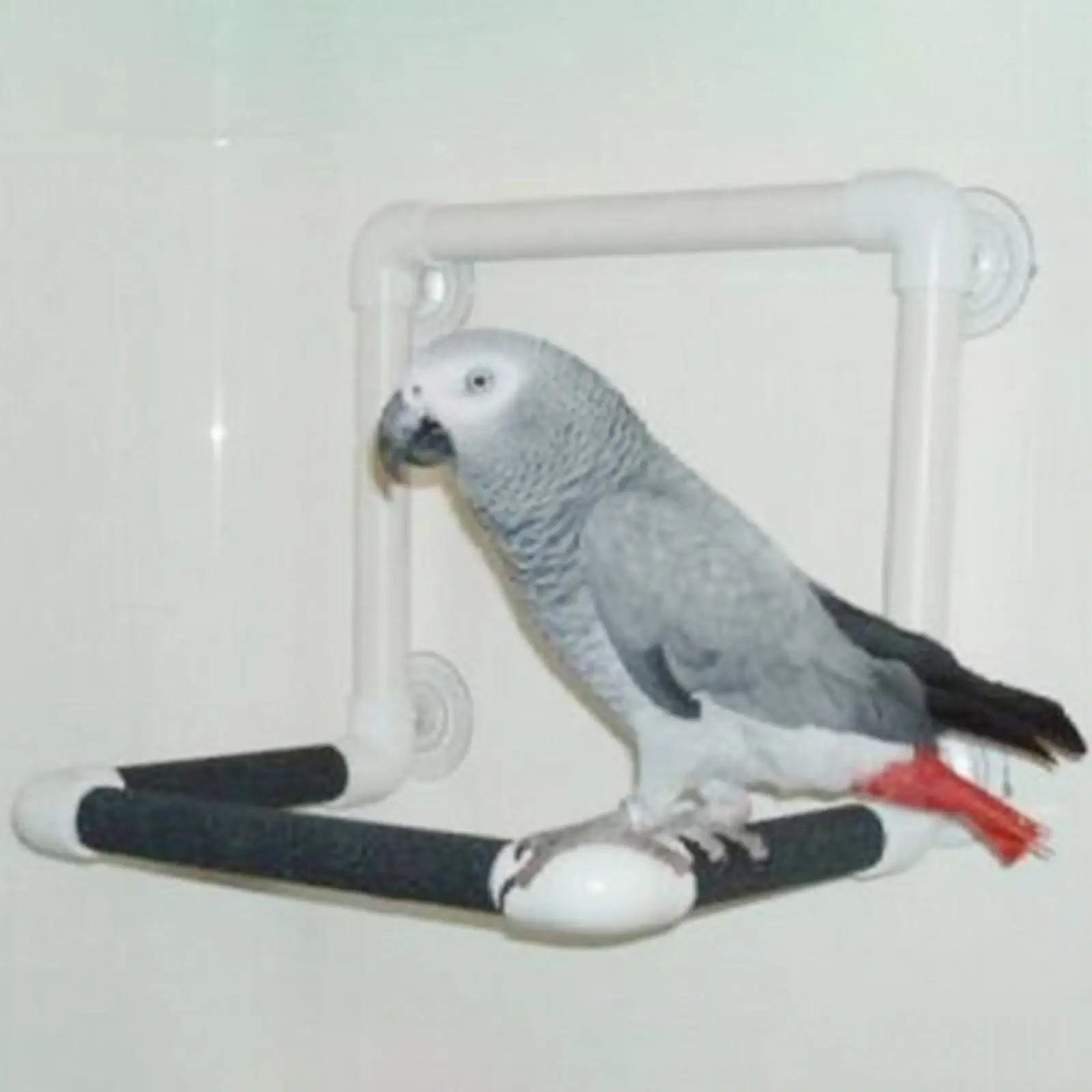 Pet Bird Perch Stand Parrot Shower Stand ventosa giocattolo in piedi