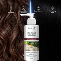 Shampoing à l'Eau de Riz à la Biotine et Kératine - Lissage et Renforcement, Fraîcheur Citronnée, Cheveux Longs et Résistants, Soin Hivernal 1