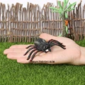 Little black spider