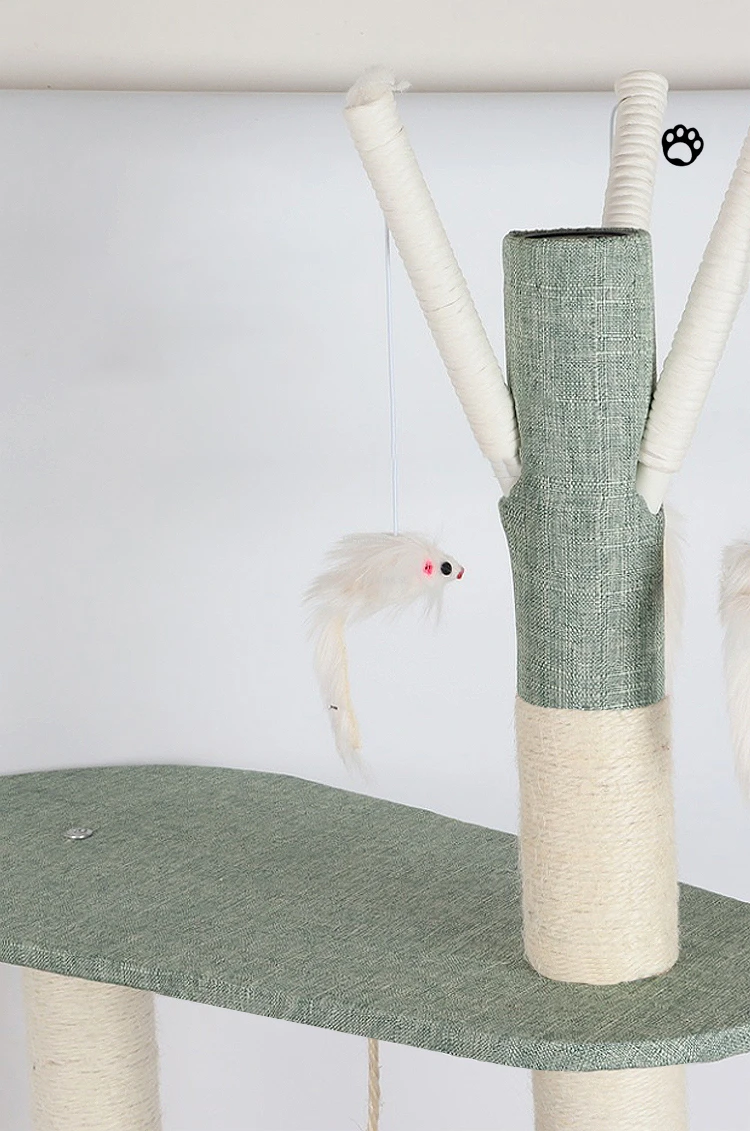 Se23ae952e12e4280a1767ae33f3fdba83