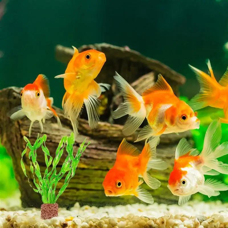 Aquarium Ceramic Holder For Plants Weights Pot Aquatic Filter Fish Tank Media Aquarium Breeding Isolation Box Function 10pcs fish tank ornaments,fish tank decorations,aquarium ornaments,mini landscape ornaments,aquarium plant holder