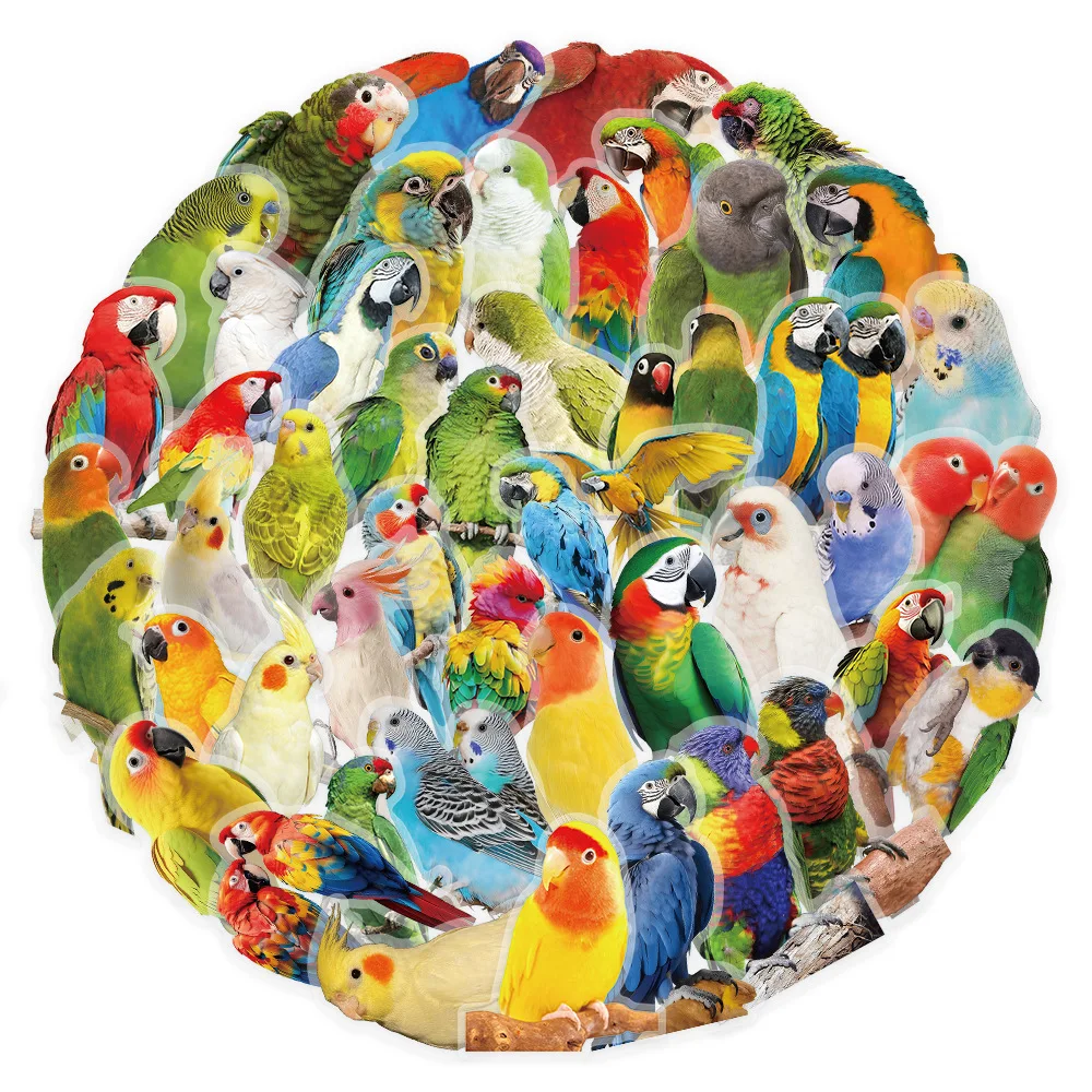 50팩 컬러풀 앵무새 낙서 PET 투명 스티커 용품 노트북 가방 방수 장식 스티커