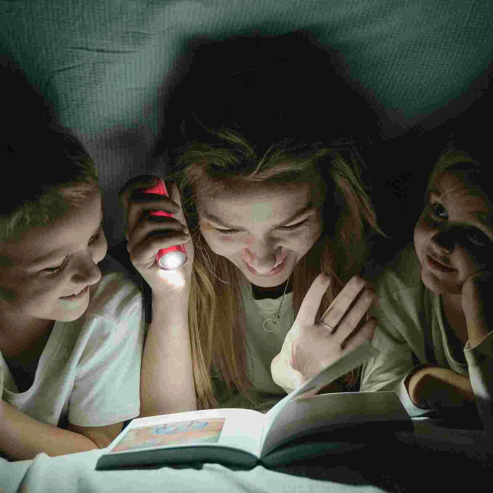 

Hidden Storage Box Flashlight Safes Compartment Containers Secret Diversion and Implicit