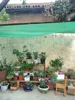 4 Colors 45~50% Shading Garden Anti UV HDPE Sunshade Net Sails Bonsai Flower Sun Shade Mesh Outdoor Succulent Plants Cover 5